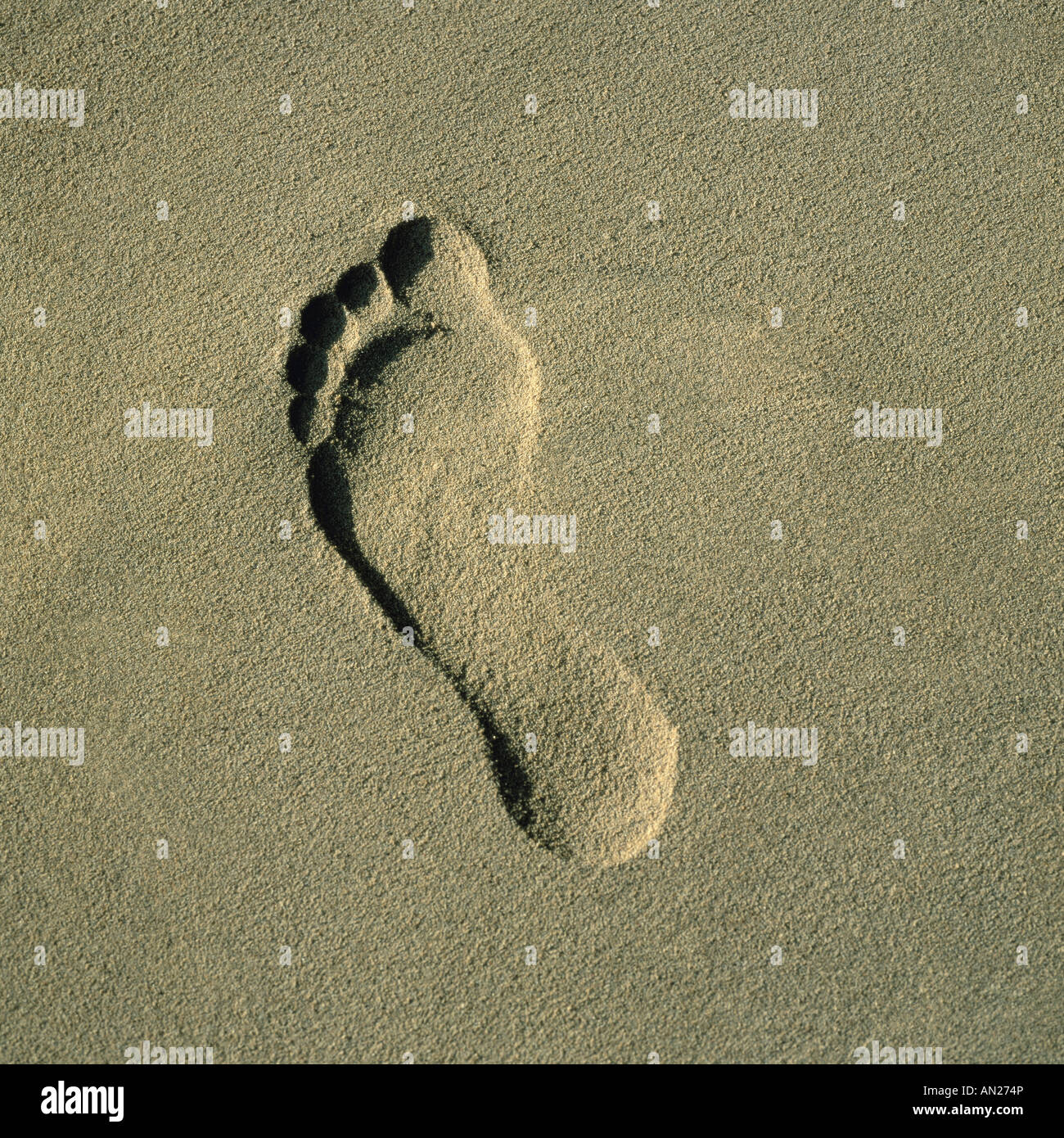 Footprints Banque D'Images