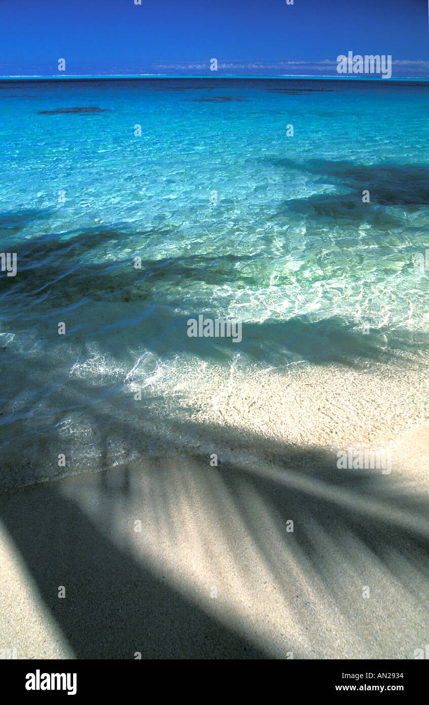 Ombre de palmiers sur la plage et le lagon, Bora Bora Banque D'Images