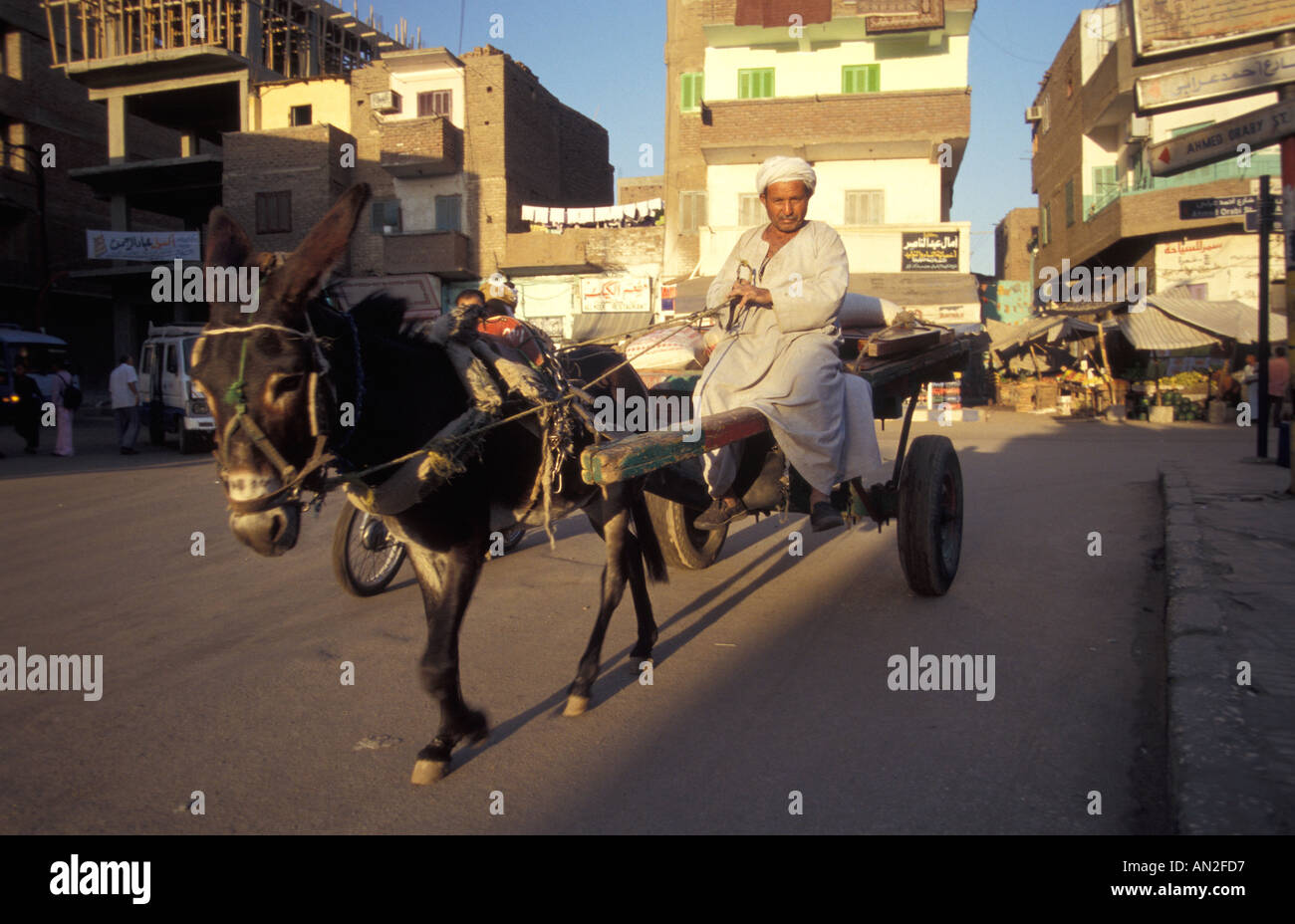 Âne dans les rues de Louxor, Egypte Banque D'Images