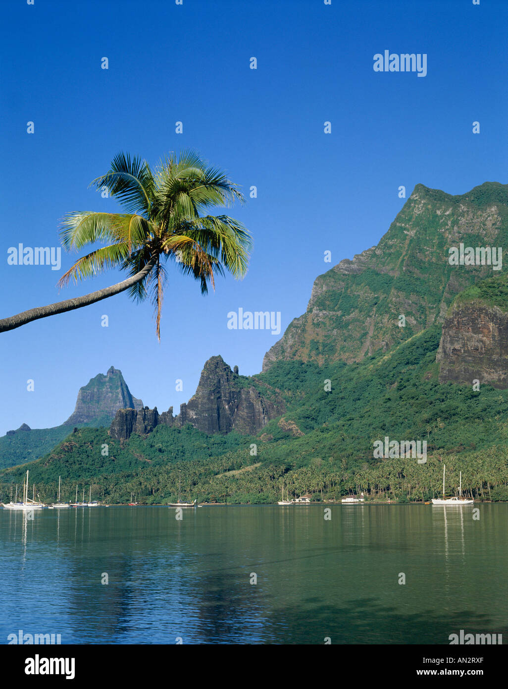 Moorea / baie de Cook, le Pacifique Sud / Polynésie Française, Tahiti Banque D'Images