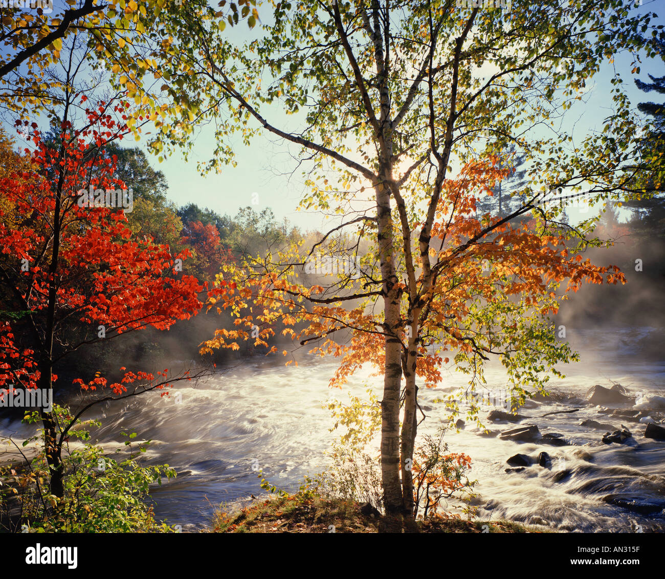 Feuillage d'automne par un petit ruisseau dans le Vermont USA Banque D'Images
