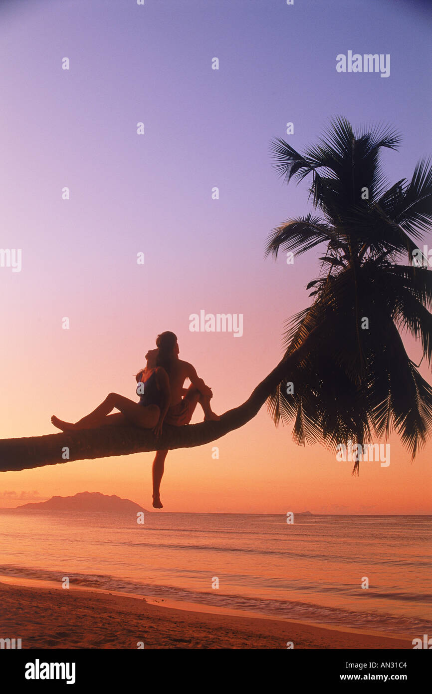 Couple assis sur palmier au coucher du soleil sur l'île de Mahé aux Seychelles Banque D'Images