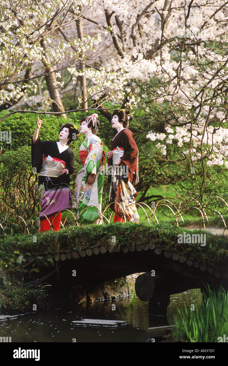 Geisha femmes en kimonos colorés au milieu de fleurs gaies dans Tokyo parc Banque D'Images