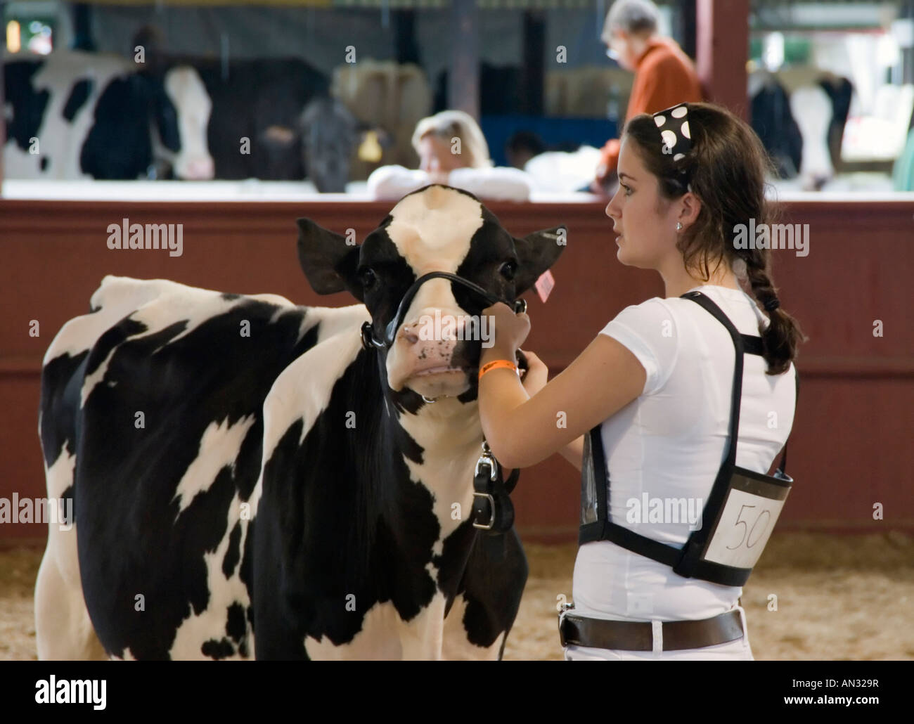 Livestock Show 4H au Dutchess County Fair Prague NY Banque D'Images