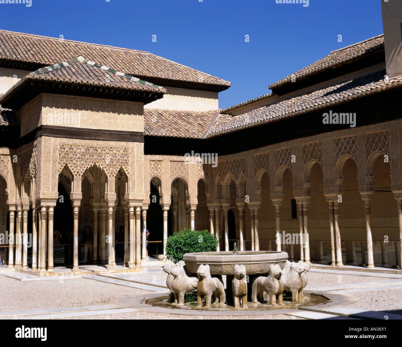 L'Alhambra / Patio des Lions (Patio de los Leones), Grenade, Andalousie, Espagne Banque D'Images
