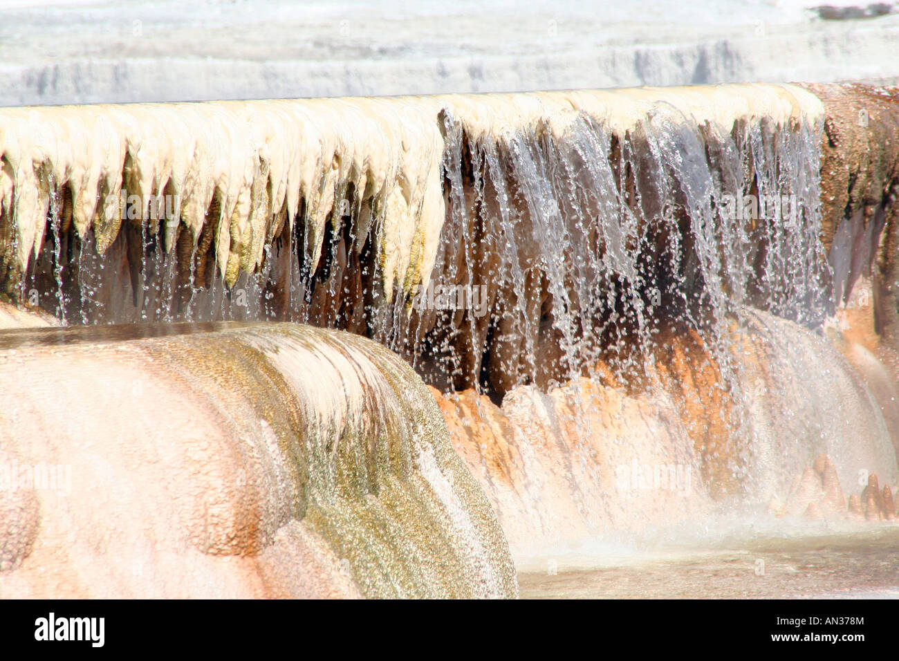 Piscine entourée de stalactites suspendus, Canary Spring, terrasse supérieure, Mammoth Hot Springs, Parc National de Yellowstone Banque D'Images