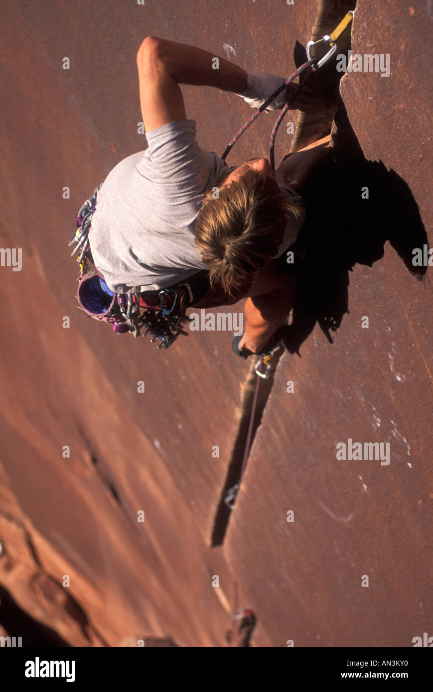 Rock climber sur 'upercrack', Indian Creek Canyon, Utah Banque D'Images