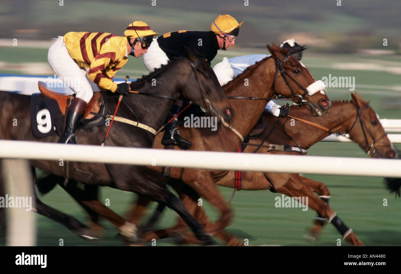 Coupe d'OR À L'hippodrome de Cheltenham GLOUCESTERSHIRE ENGLAND UK Banque D'Images