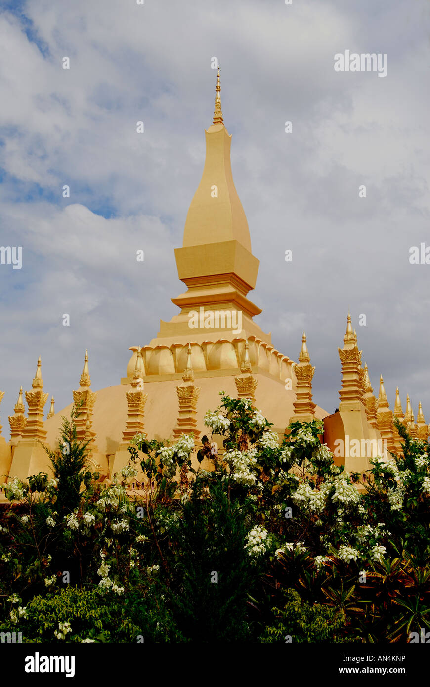 Que Luang monument avec fleur nationale dok champa,Vientiane Laos, Banque D'Images