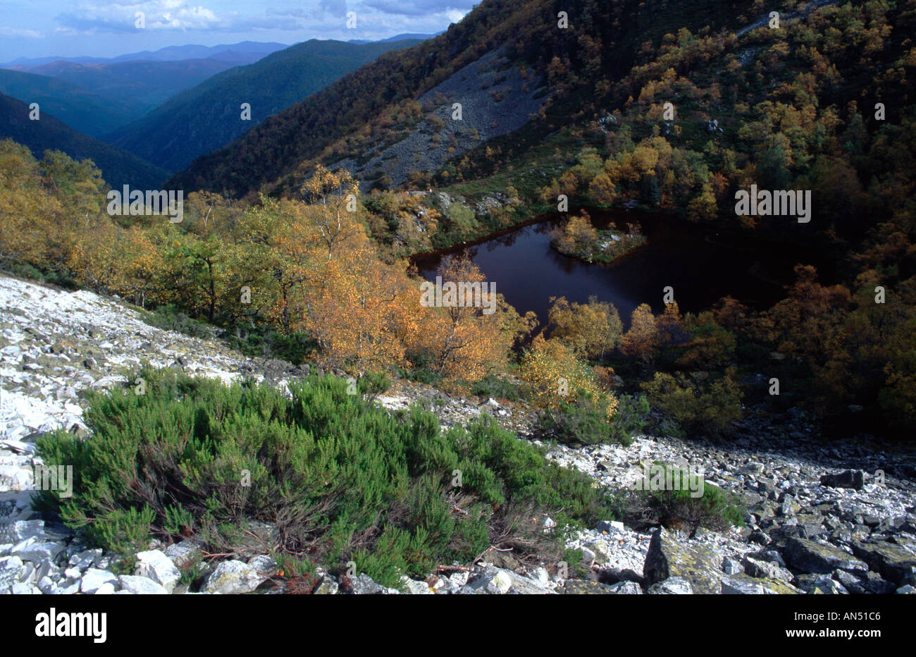 Laguna de la Isla de Muniellos Parc naturel dans les Asturies espagne Banque D'Images