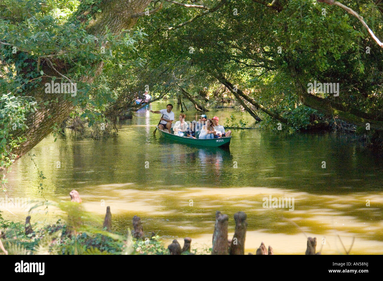 Les touristes en barque à travers un batelier Forêt cathédrale (France). Promenade en barque de vacanciers sous une forêt galerie (France). Banque D'Images