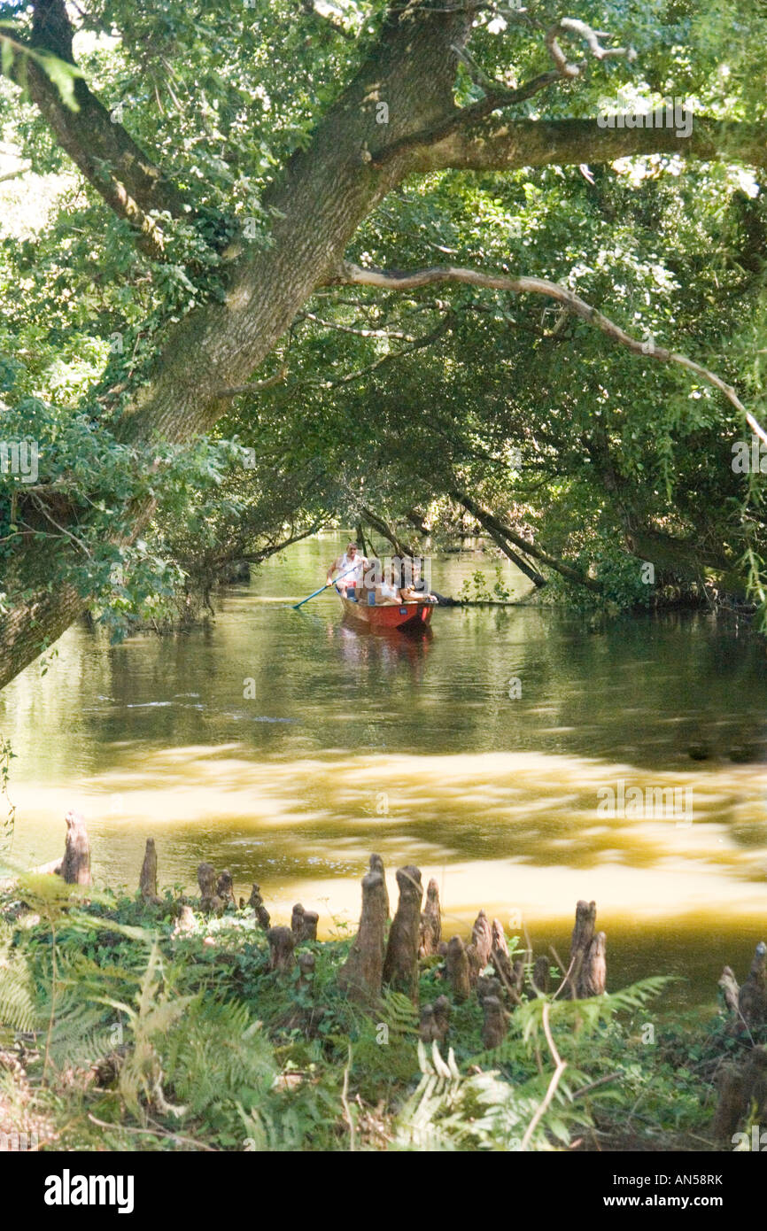 Les touristes en barque à travers un batelier Forêt Cathédrale (France). Promenade en barque de vacanciers sous une forêt galerie (France). Banque D'Images