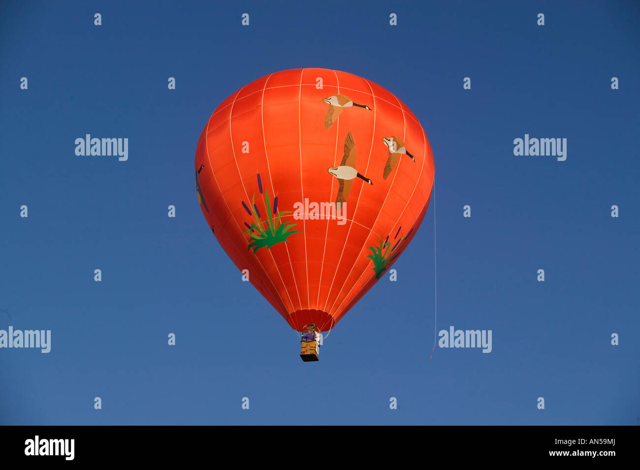 L'air chaud baloons festival à Walla Walla Washington Banque D'Images