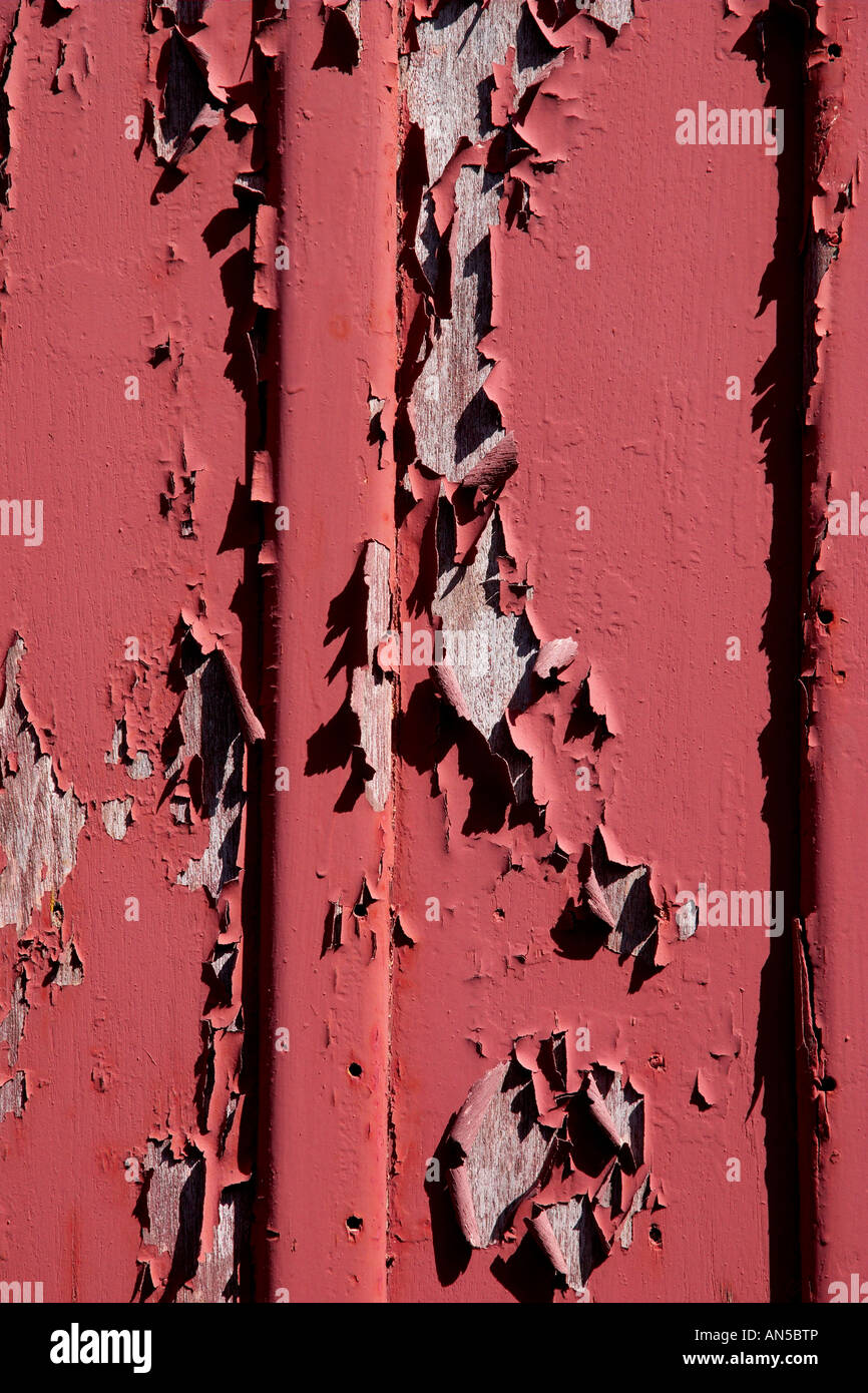 Écaillage de la peinture rouge sur une porte en bois. Banque D'Images