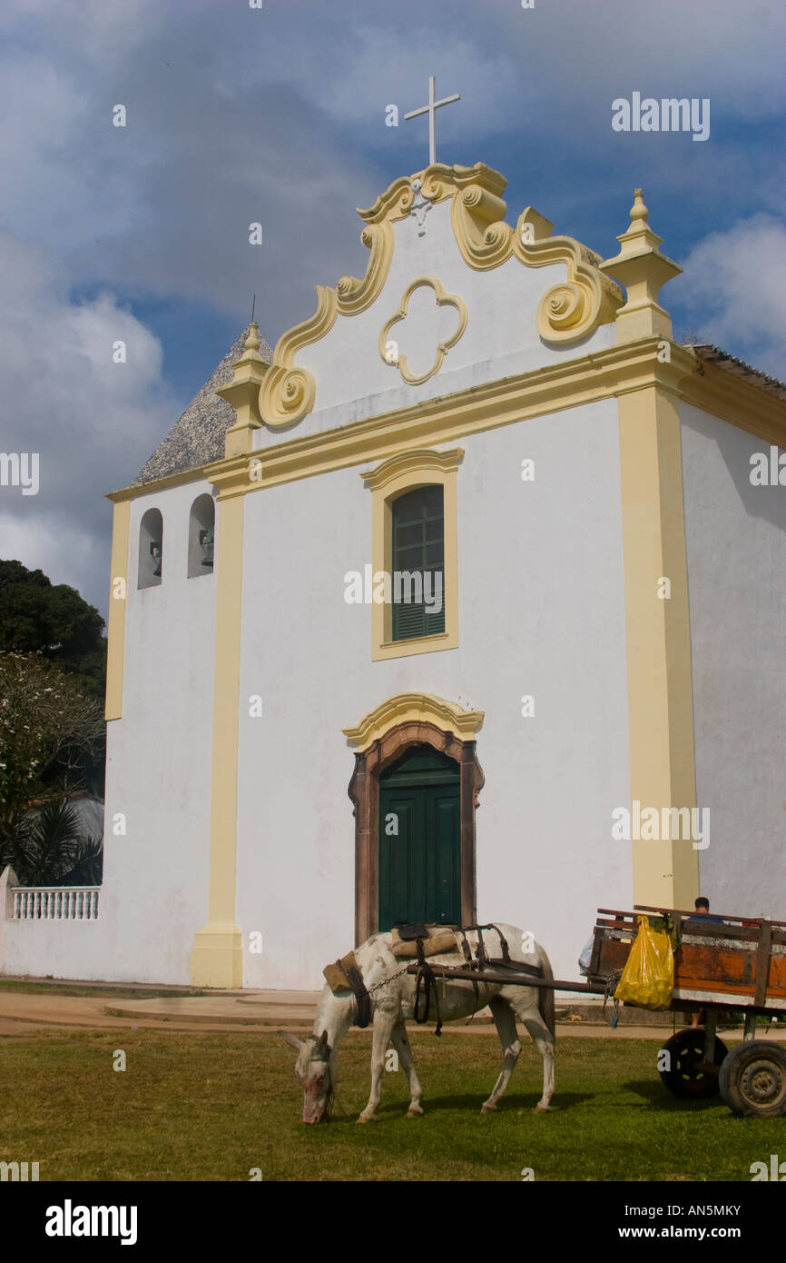 Photo d'un cheval et un chariot. Le cheval est l'alimentation sur l'herbe devant une église à Porto Seguro, Bahia, Brésil Banque D'Images