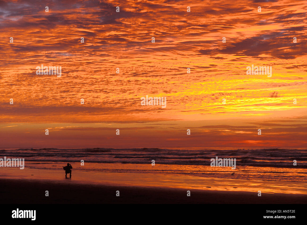 Man photographing brillant coucher du soleil à Nye Beach Newport Oregon Coast Banque D'Images