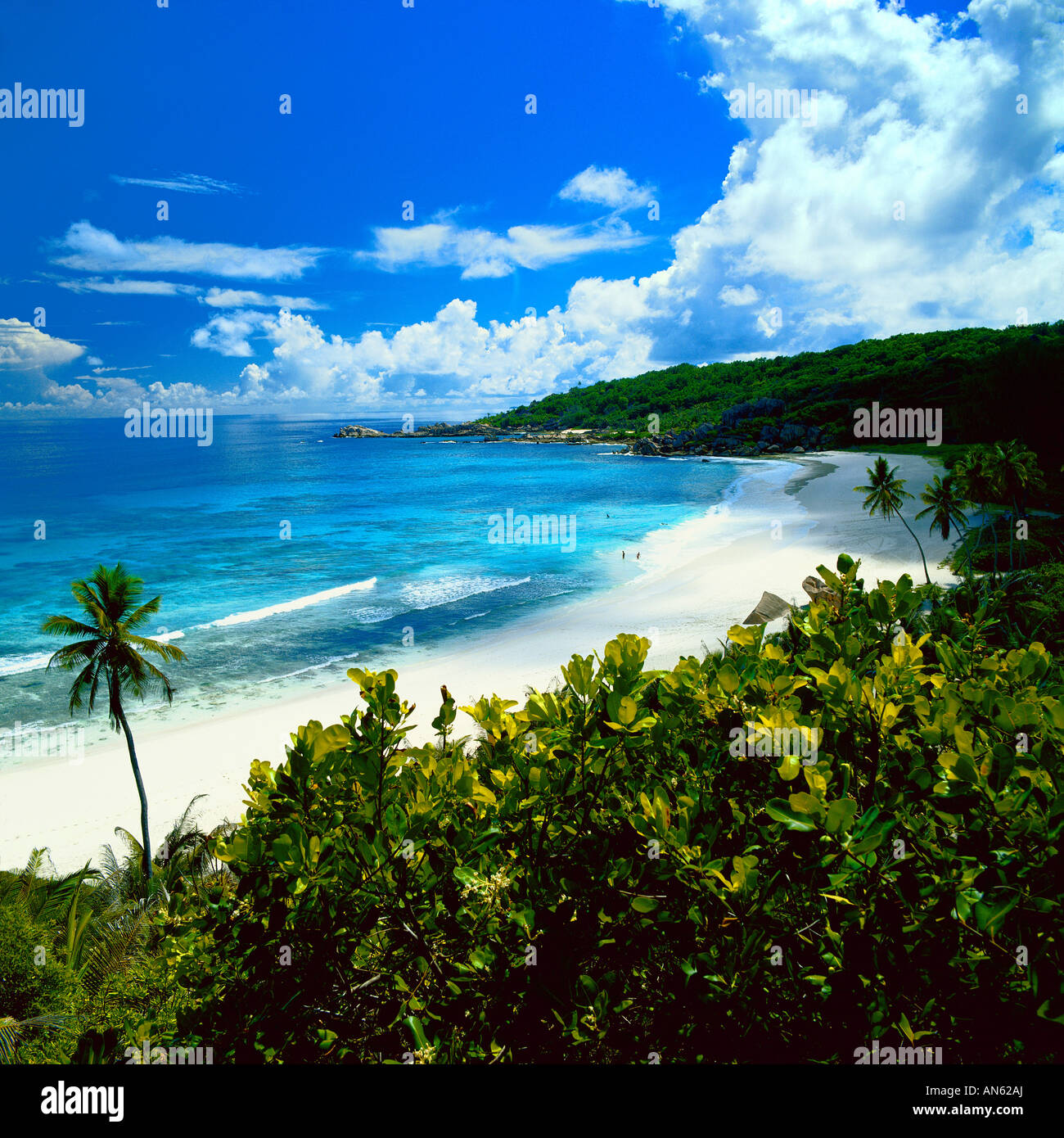 Îles Seychelles, plage de lonely Banque D'Images