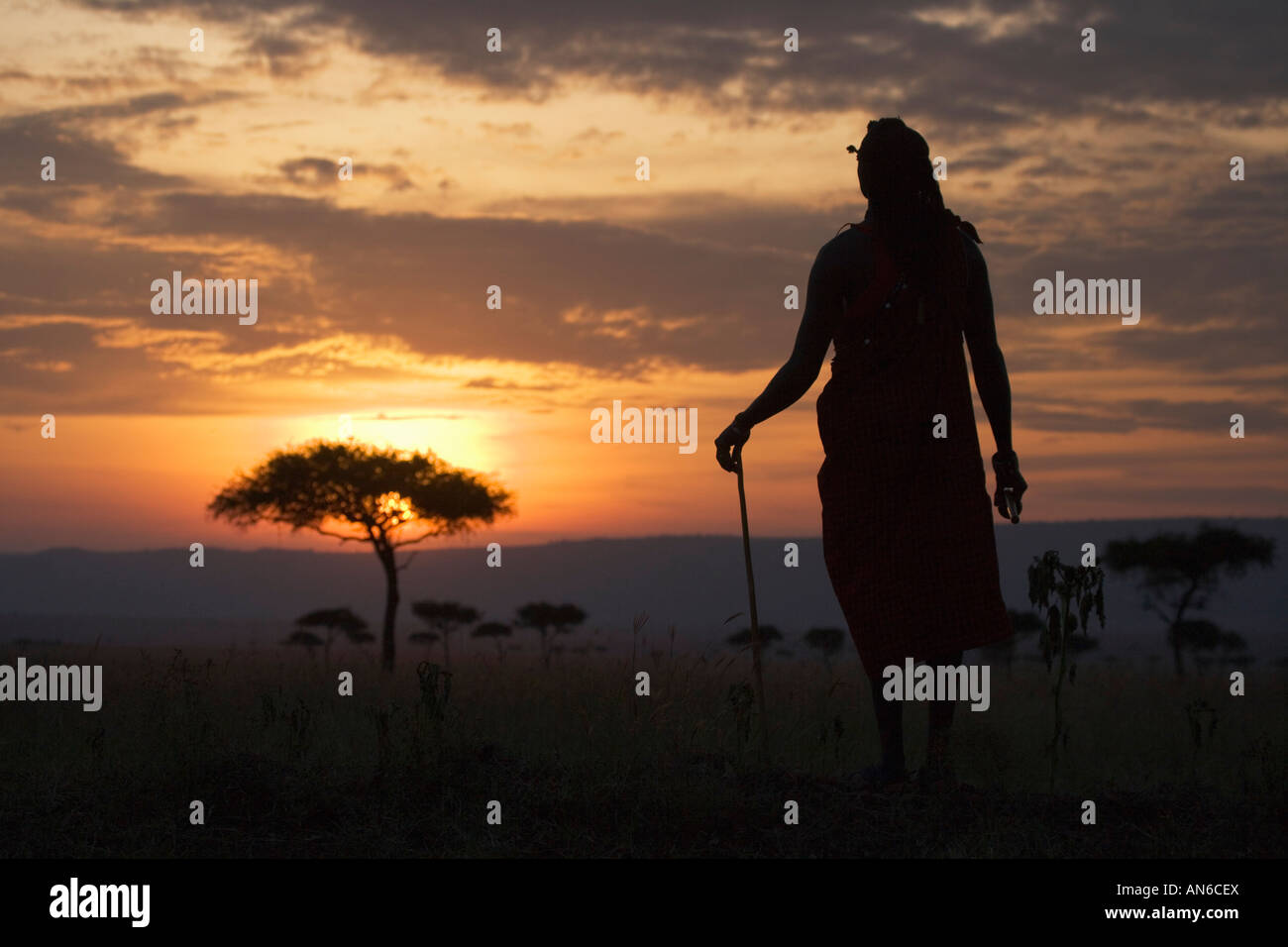 Tribu Masai dans la savane au coucher du soleil, Masai Mara, Kenya Banque D'Images