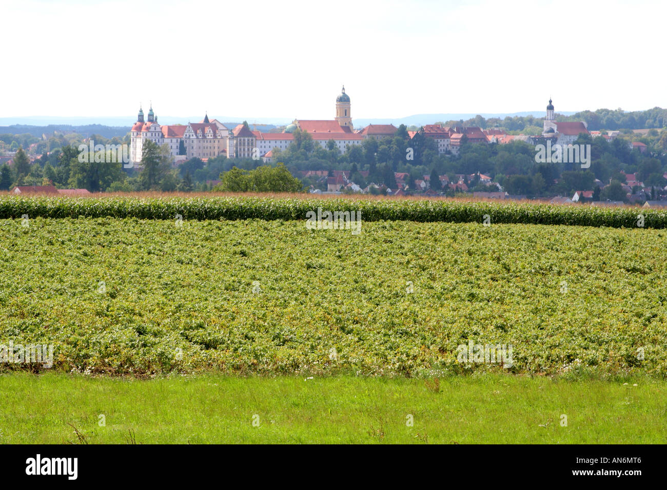 Vue panoramique sur la ville de Neuburg sur le Danube Allemagne Bavière Banque D'Images