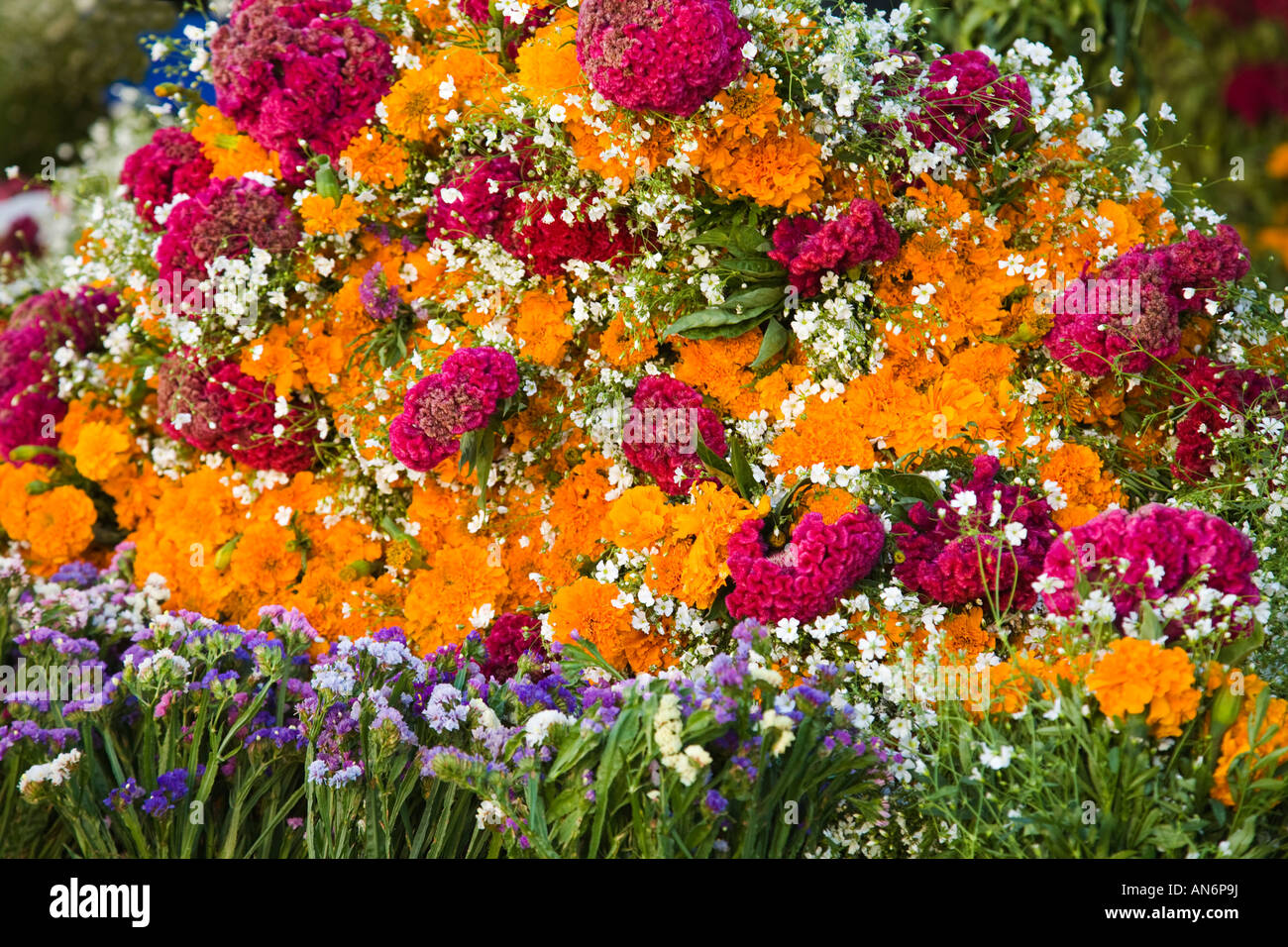 Mexique Guanajuato mélange coloré de fleurs en bouquet pour le Jour des Morts Les fleurs fleurs de célébration Banque D'Images