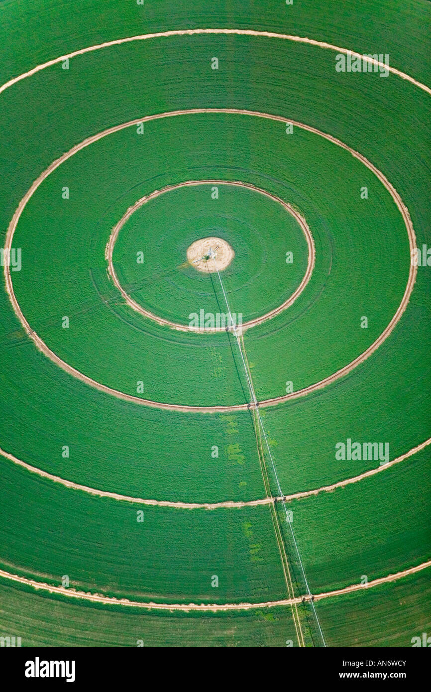 Vue aérienne au-dessus du cercle de l'irrigation à pivot central vert Banque D'Images