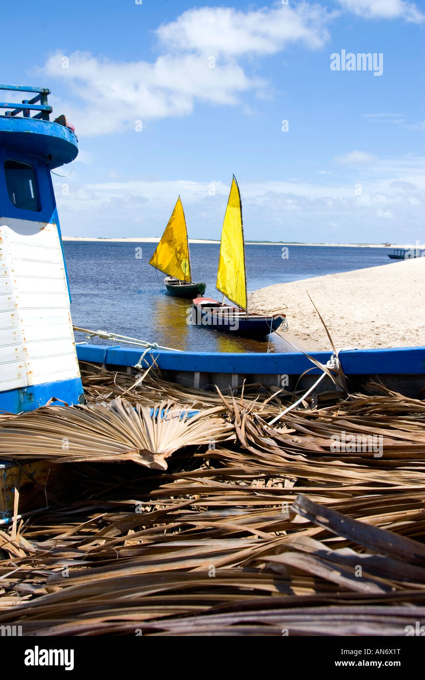 Bateaux, voile jaune plage Caburé, Maranhao, Brésil Banque D'Images