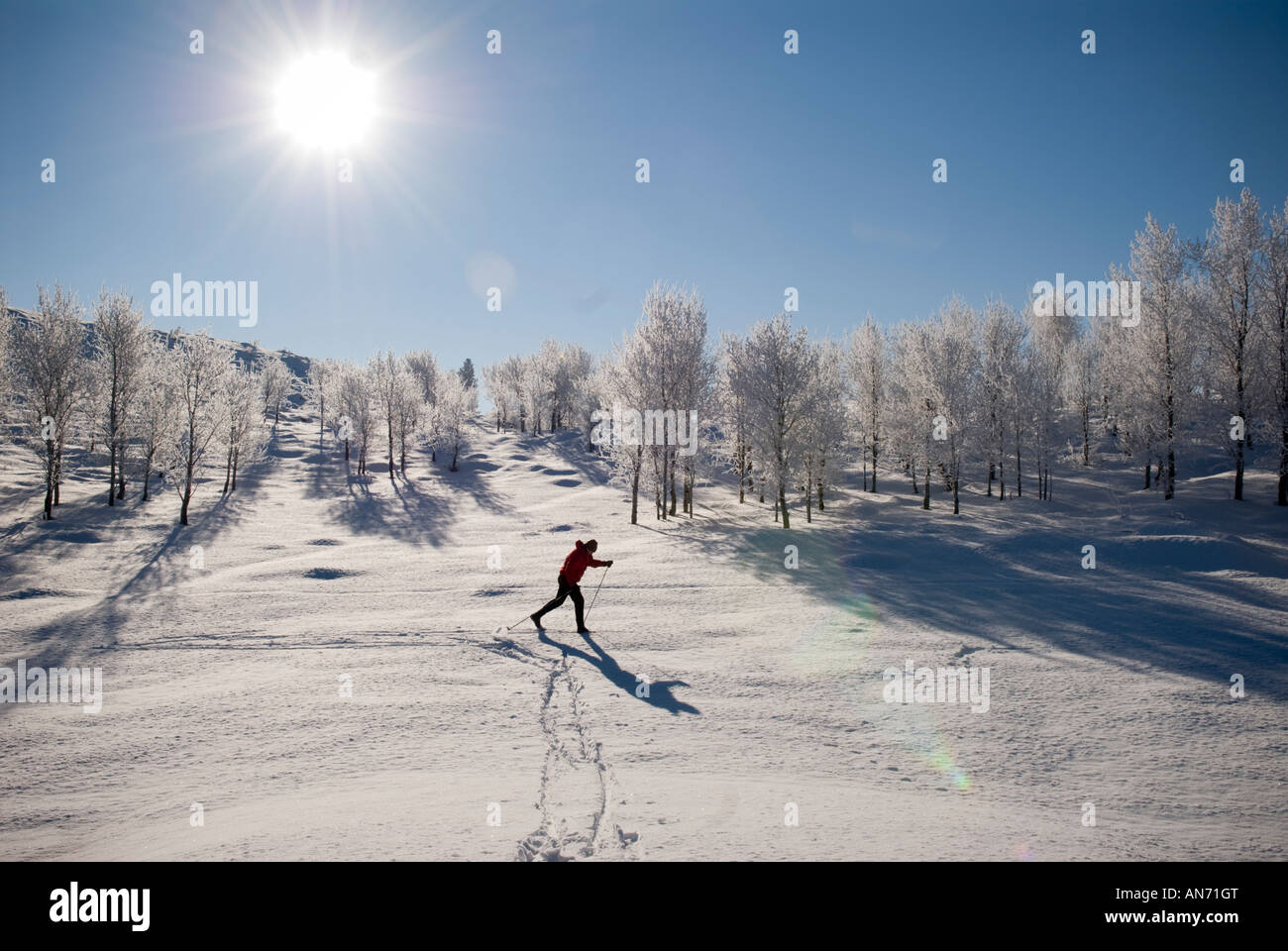 Dans la pittoresque vallée de Methow près de Wintrop skieurs Washington profiter d'une variété de sports des pays nordiques. Banque D'Images
