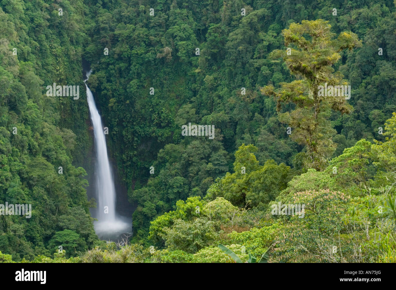 Congo ou Angel Falls, Cordillère centrale, le Costa Rica Banque D'Images