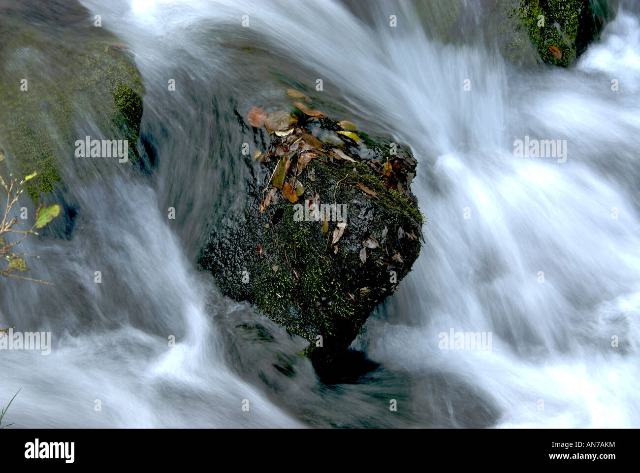 Stream en Auvergne. Puy de Dôme. France Banque D'Images