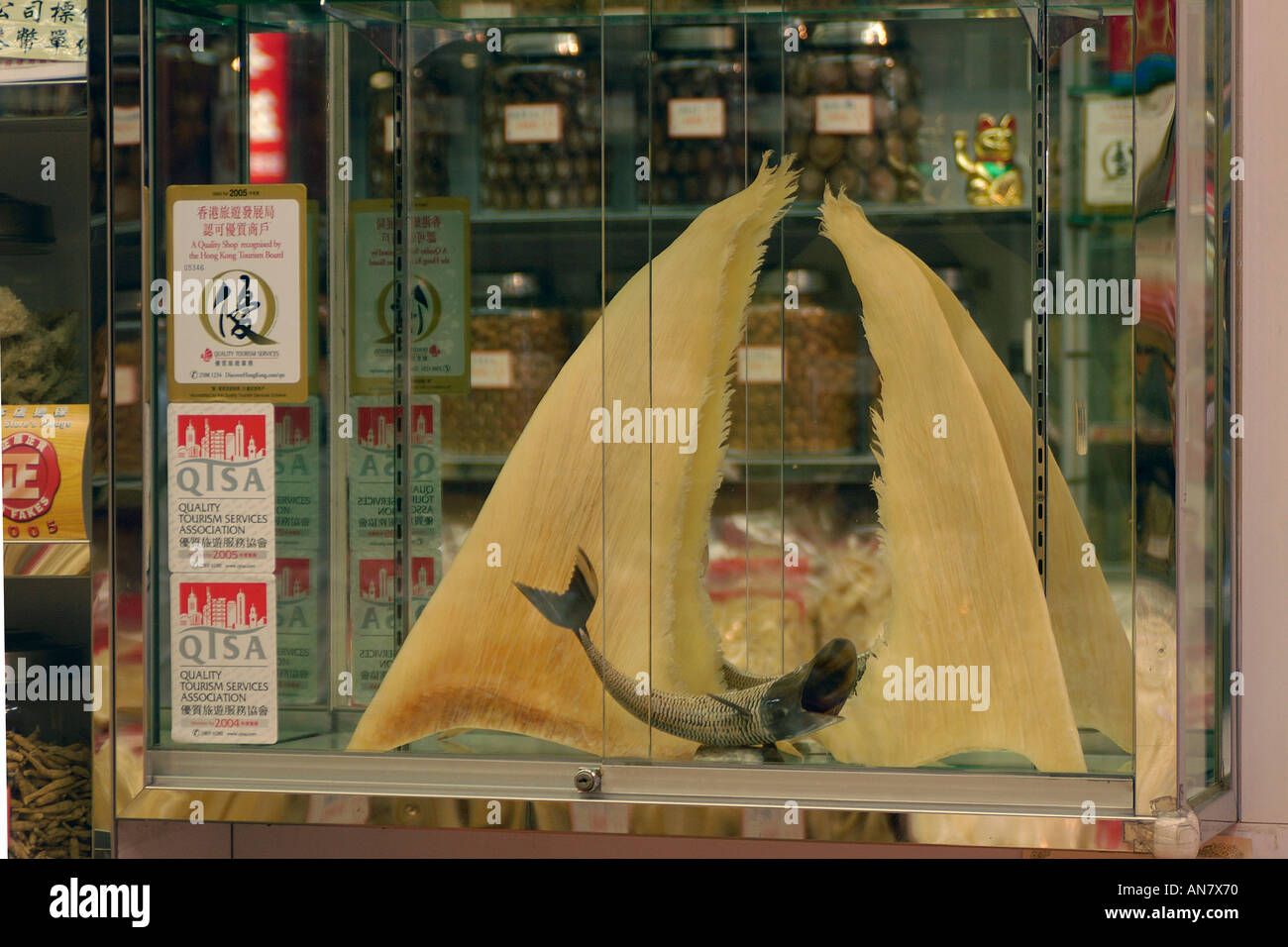 Les ailerons de requin séchés à vendre dans la médecine traditionnelle chinoise store Hong Kong Chine Banque D'Images