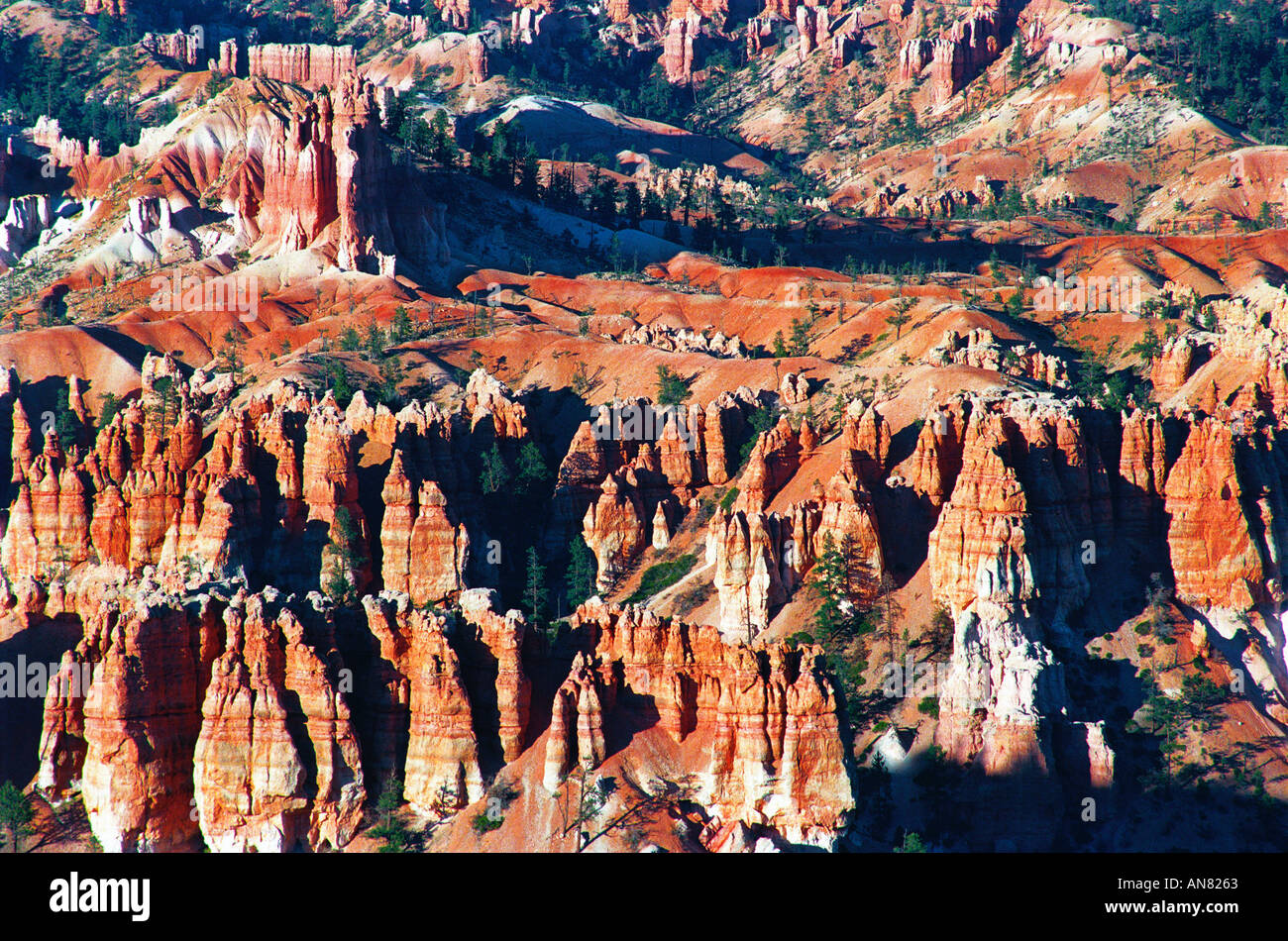 Au lever du soleil hoodoos Bryce Point Bryce Canyon National Park Utah Banque D'Images