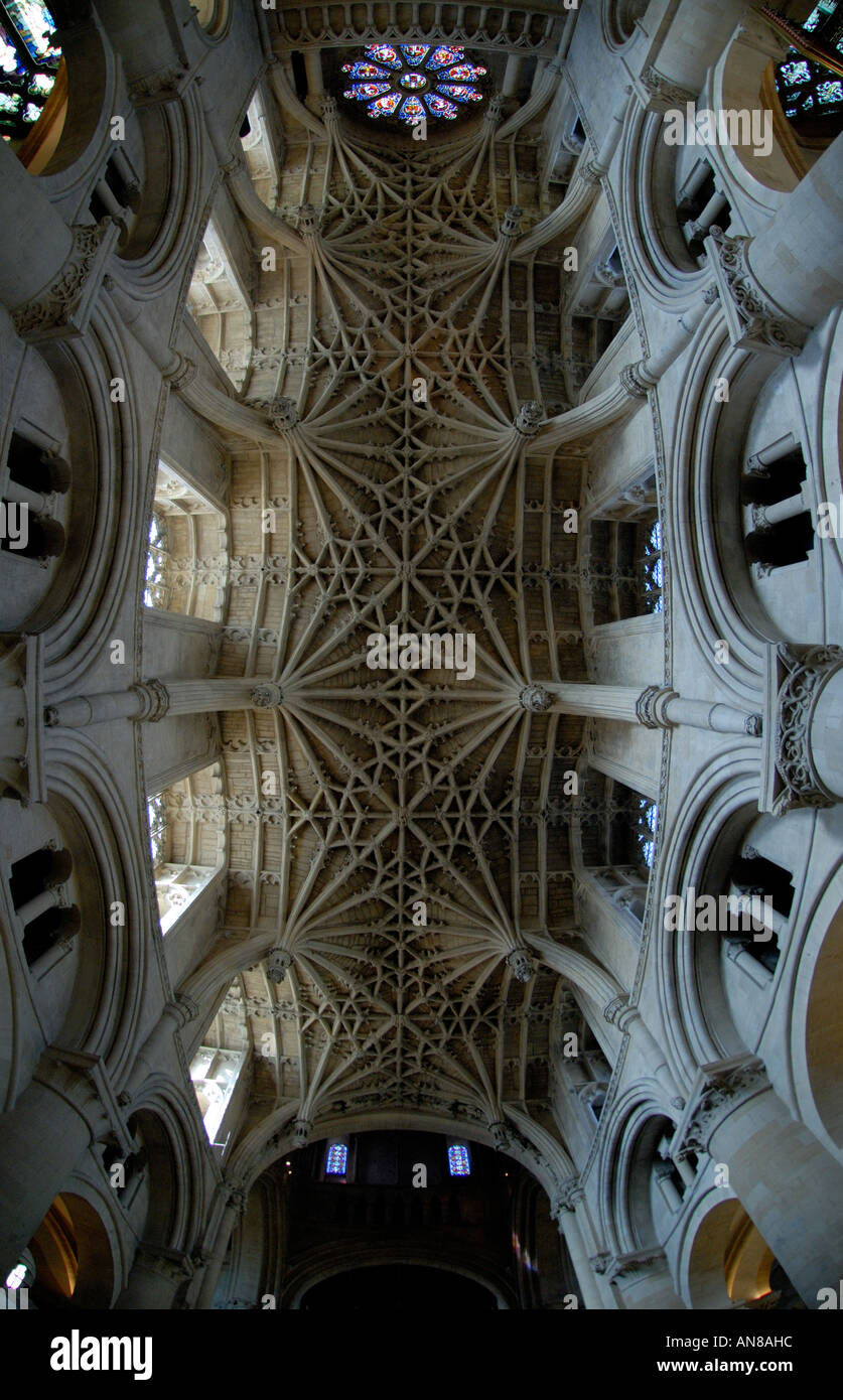 Vue Fisheye du plafond de la cathédrale Christ Church d'Oxford Banque D'Images