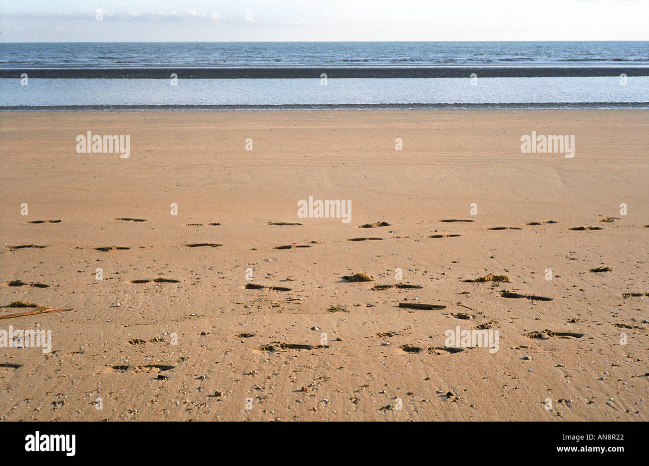 Camber Sands plage vide Banque D'Images