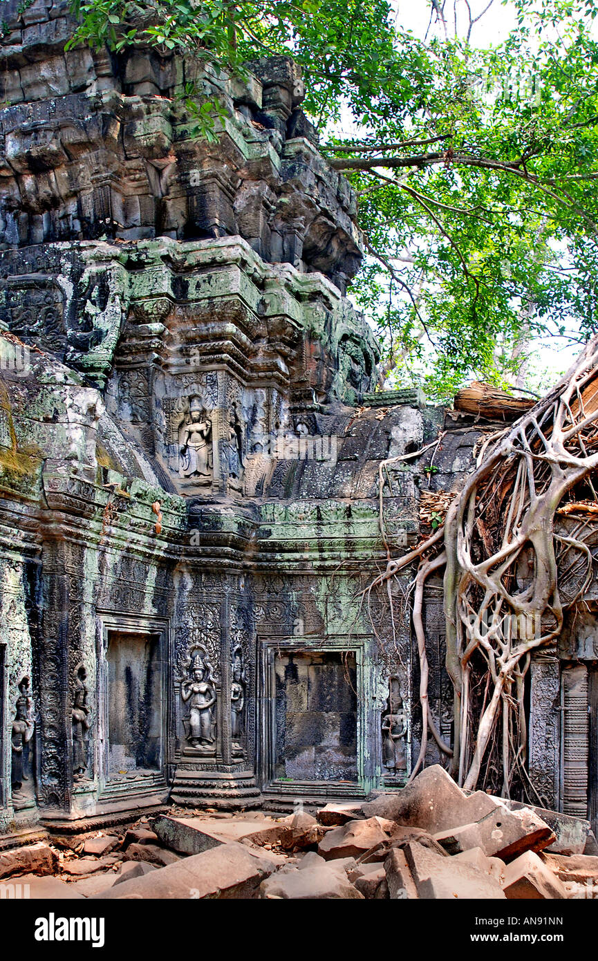 Ta Prohm Cambodge, construit en style du Bayon en grande partie à la fin du 12e et début 13e siècles et à l'origine appelé Rajavihara.( Banque D'Images