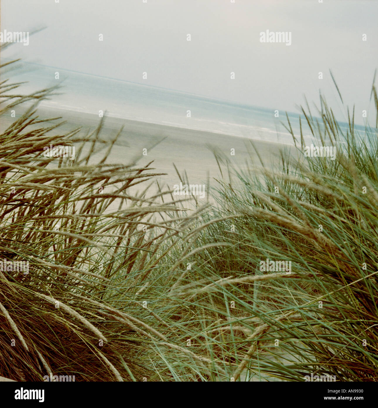 Dunes de sable de Camber Sands Angleterre Banque D'Images