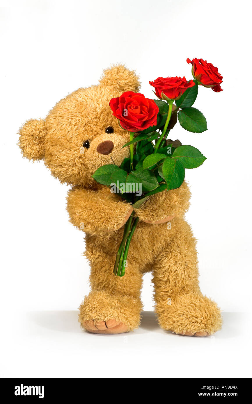 Ours en peluche avec roses rouges Photo Stock - Alamy