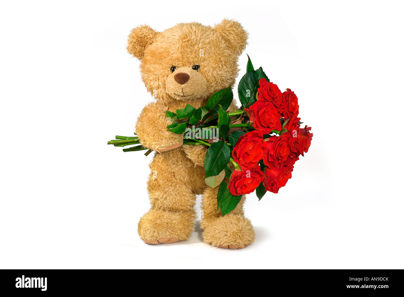 Ours en peluche avec roses rouges Banque D'Images