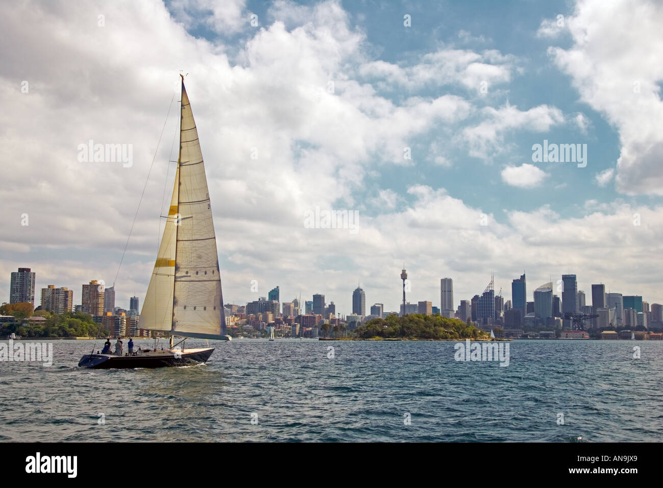 Location de voiles dans le port de Sydney Australie Banque D'Images