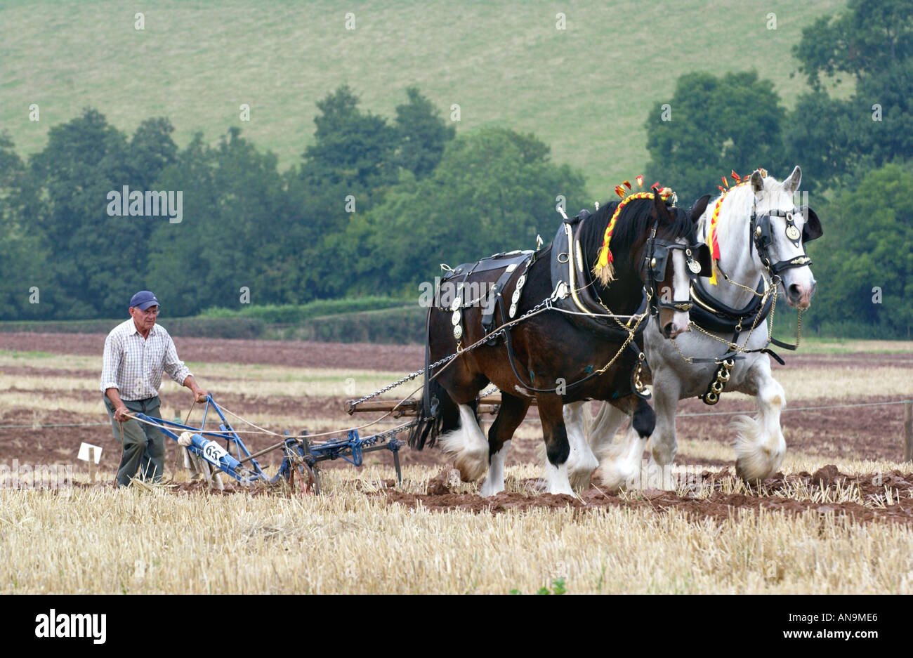 Labour annuel à l'aide de l'équipe de chevaux à Pandy Monmouthshire au Pays de Galles UK Banque D'Images