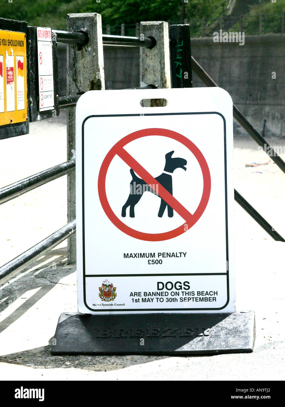 Chiens interdits sur la plage. Banque D'Images