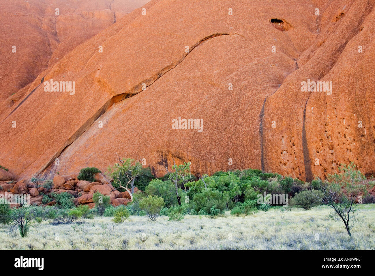 Arbres à la base d'Ayers Rock Uluru Centre Rouge Australie Banque D'Images
