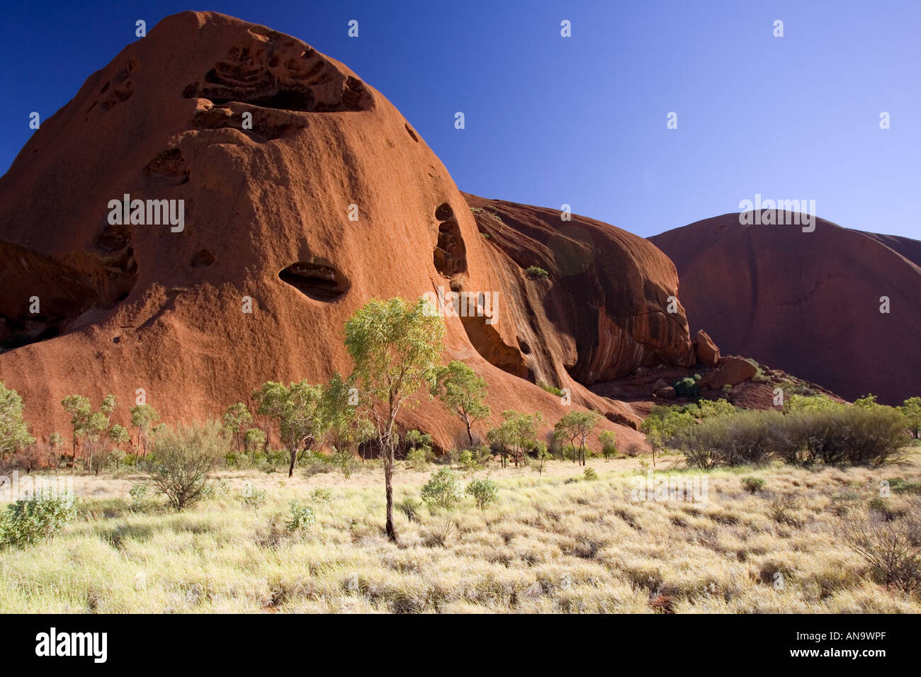 Arbres à la base d'Ayers Rock Uluru Centre Rouge Australie Banque D'Images