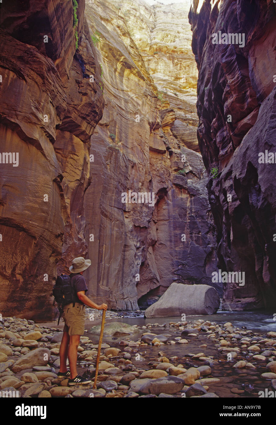 Randonneur dans les Narrows, Virgin River, Zion Canyon, Zion National Park, Utah, USA Banque D'Images