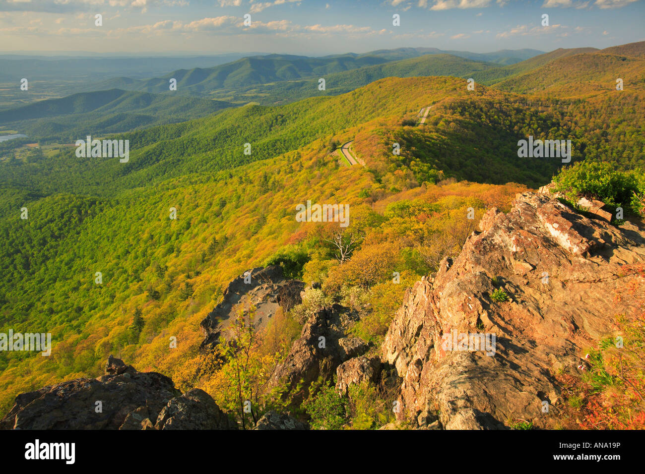 Skyline Drive vu de l'Appalachian Trail, Little Stony Man Mountain, Shenandoah National Park, Virginia, USA Banque D'Images