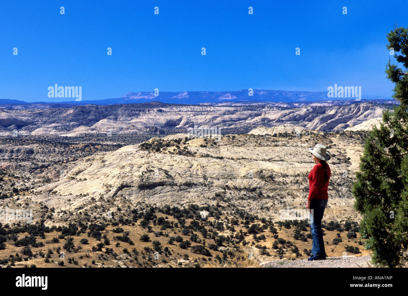 Femme sur la crête près de Cedar Breaks National Monument, Cedar City, Utah USA Banque D'Images