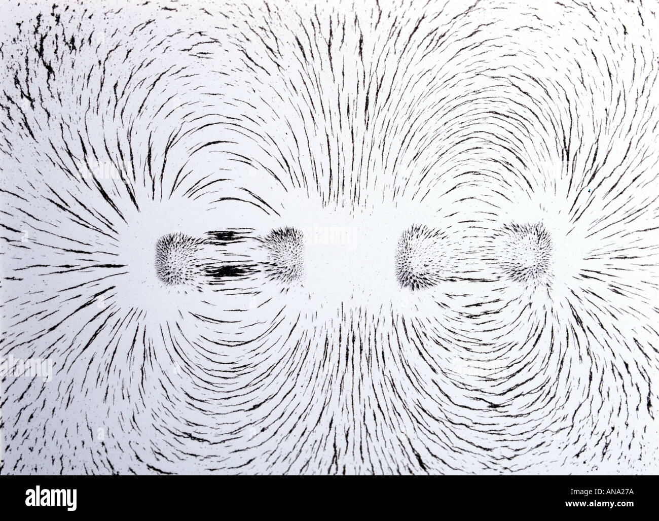 Champ magnétique autour de deux pôles identiques avec les aimants face illustré par de la limaille de fer Banque D'Images