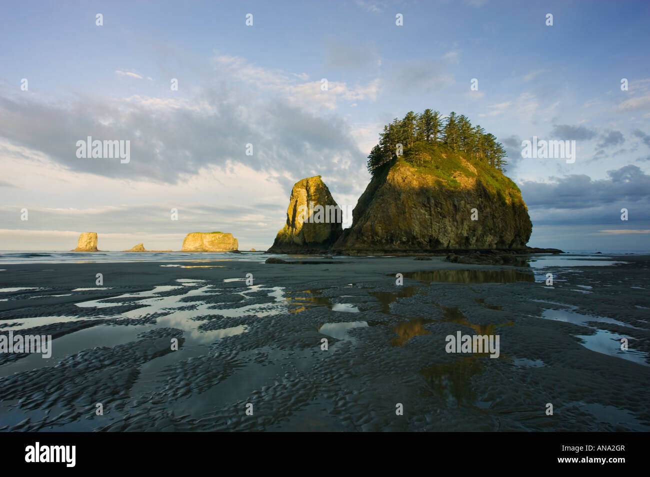 Deuxième plage Olympic National Park Banque D'Images