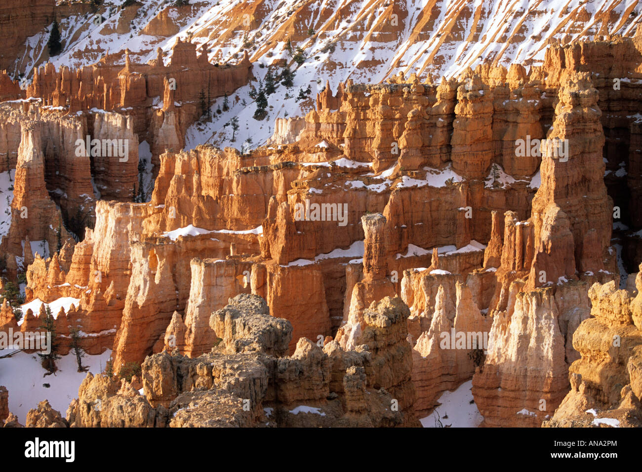 L'Amphithéâtre de Bryce Bryce Canyon National Park Utah USA Banque D'Images