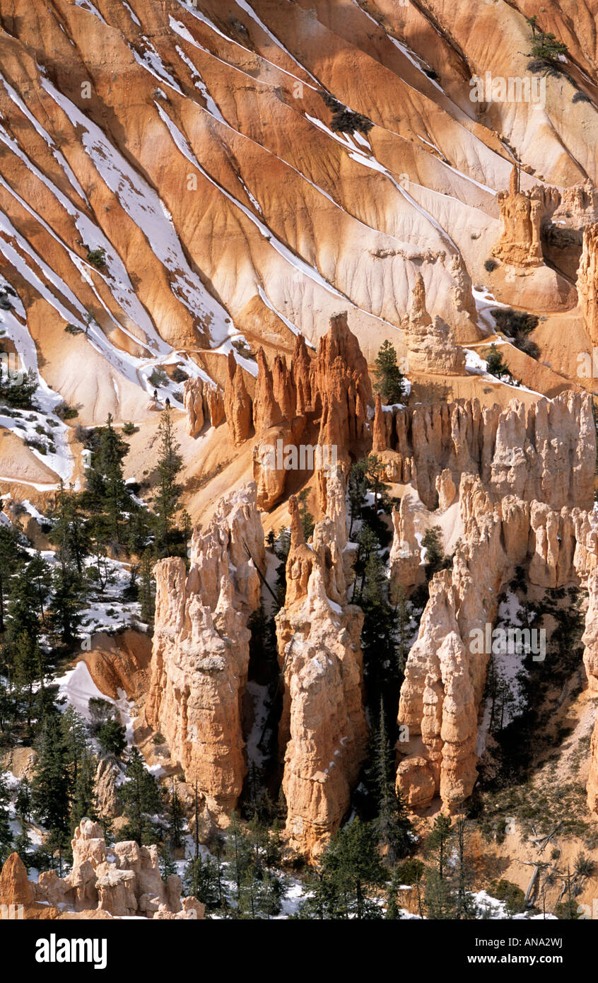 L'Amphithéâtre de Bryce Bryce Canyon National Park Utah USA Banque D'Images