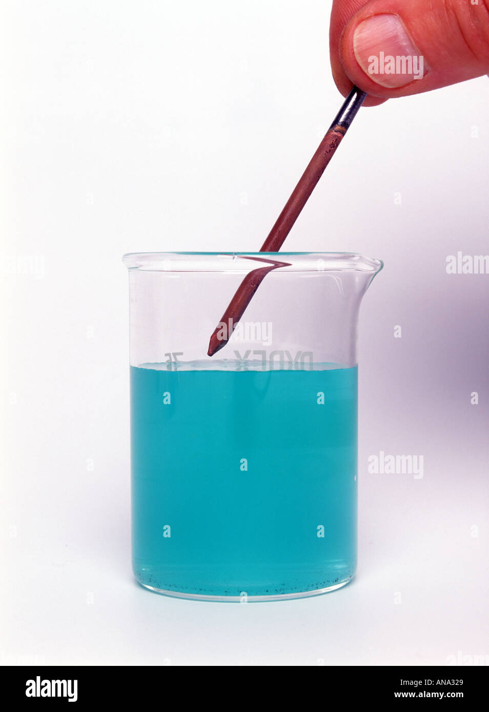 Un clou en fer étant retiré d'un bécher de solution de sulfate de cuivre après qu'il a été plaqué cuivre il a déplacé le cuivre Banque D'Images